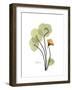 Nasturtium Portrait 1-Albert Koetsier-Framed Premium Giclee Print