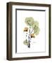 Nasturtium Portrait 2-Albert Koetsier-Framed Premium Giclee Print