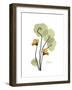 Nasturtium Portrait 2-Albert Koetsier-Framed Premium Giclee Print