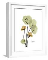 Nasturtium Portrait 2-Albert Koetsier-Framed Premium Giclee Print