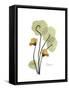 Nasturtium Portrait 2-Albert Koetsier-Framed Stretched Canvas