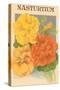 Nasturtium Seed Packet-null-Stretched Canvas