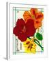 Nasturtium Seed Packet-Lantern Press-Framed Art Print