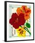 Nasturtium Seed Packet-Lantern Press-Framed Art Print