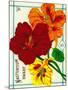 Nasturtium Seed Packet-Lantern Press-Mounted Art Print