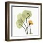 Nasturtium-Albert Koetsier-Framed Art Print