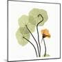 Nasturtium-Albert Koetsier-Mounted Art Print