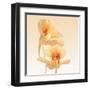 Nasturtium-Vilor-Framed Art Print