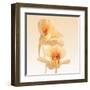 Nasturtium-Vilor-Framed Art Print