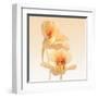 Nasturtium-Vilor-Framed Art Print