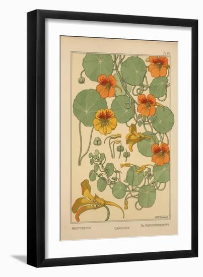 Nasturtium-null-Framed Giclee Print