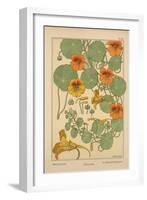 Nasturtium-null-Framed Giclee Print