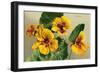 Nasturtium-null-Framed Premium Giclee Print