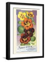 Nasturtium-null-Framed Art Print