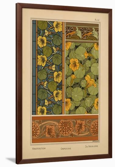 Nasturtium-null-Framed Giclee Print