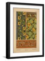 Nasturtium-null-Framed Giclee Print