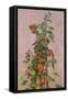 Nasturtiums, 1880-Ignace Henri Jean Fantin-Latour-Framed Stretched Canvas