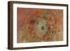 Nasturtiums, 1905-Odilon Redon-Framed Giclee Print