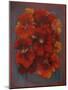 Nasturtiums 2012-Lee Campbell-Mounted Giclee Print