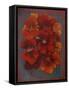 Nasturtiums 2012-Lee Campbell-Framed Stretched Canvas
