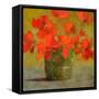 Nasturtiums I-Sheila Finch-Framed Stretched Canvas