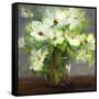 Nasturtiums II-Sheila Finch-Framed Stretched Canvas