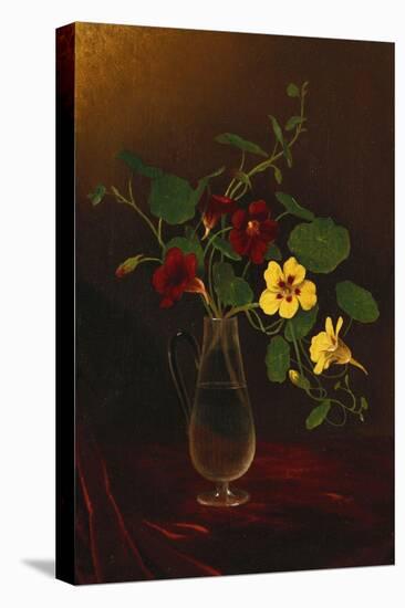 Nasturtiums in a Vase, Circa 1865-1875-David Gilmour Blythe-Stretched Canvas