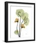 Nasturtiums L192-Albert Koetsier-Framed Photographic Print