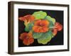 Nasturtiums,  pastel-Margo Starkey-Framed Giclee Print