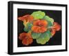 Nasturtiums,  pastel-Margo Starkey-Framed Giclee Print