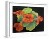 Nasturtiums,  pastel-Margo Starkey-Framed Giclee Print