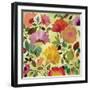 Nasturtiums-Kim Parker-Framed Giclee Print