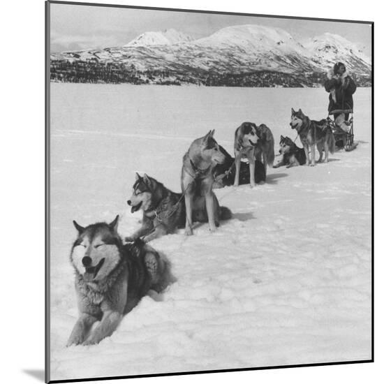 Photographic Print, , large