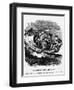 Nat.Insurance, Lly-George-L. Raven Hill-Framed Art Print