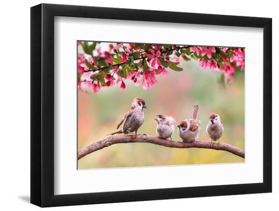 Premium Photographic Print, , large