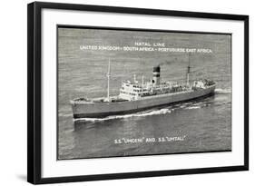 Natal Line, S.S. Umgeni, S.S. Umtali, Dampfer-null-Framed Giclee Print