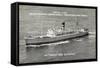 Natal Line, S.S. Umgeni, S.S. Umtali, Dampfer-null-Framed Stretched Canvas