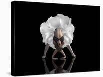 Dance-Natalia Baras-Laminated Photographic Print