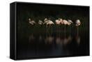 Canvas Black