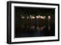 Black Frame