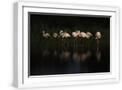 White Frame