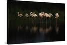 Stretched Canvas