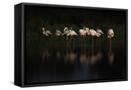 Canvas Black
