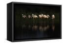 Canvas Black