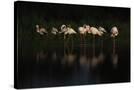 Stretched Canvas