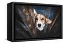 Canvas Black