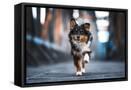 Canvas Black