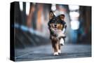 Stretched Canvas
