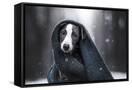 Canvas Black