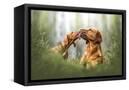 Canvas Black